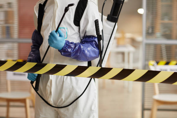 Professional Sewage Cleanup technician working in North Lima, OH